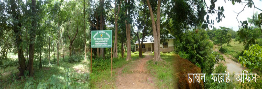 10no. Cambal Union Porisod 10no. Cambal Union Porisod